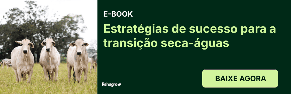 E-book Estratégias de sucesso para a transição seca-águas