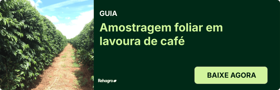 Clique e baixe o material gratuitamente! Guia Amostragem foliar na lavoura de café