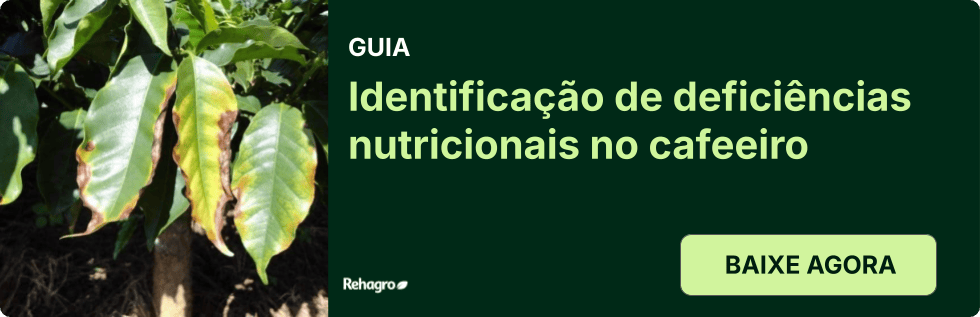 Clique e baixe o material gratuitamente! Guia Deficiências nutricionais no cafeeiro