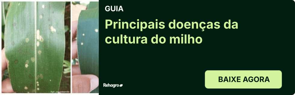 Guia Principais doenças do milho
