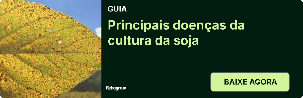Guia Principais doenças da soja
