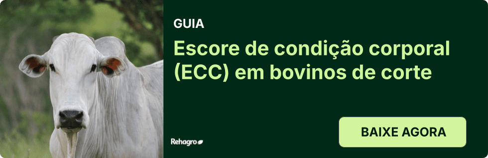 Clique e baixe o material gratuitamente! Guia ECC em bovinos de corte