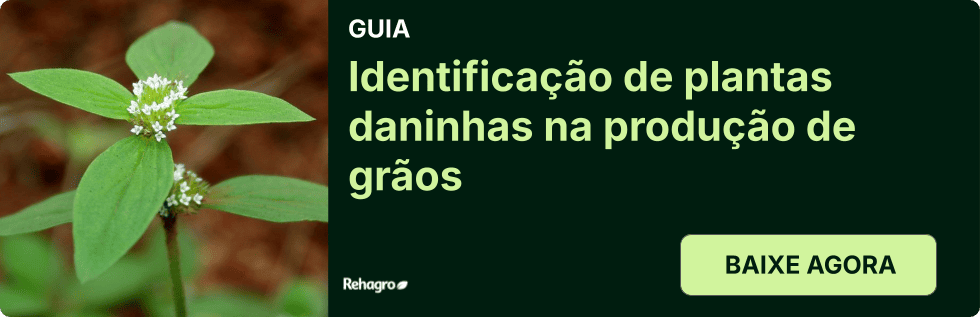 Guia Identificação de plantas daninhas