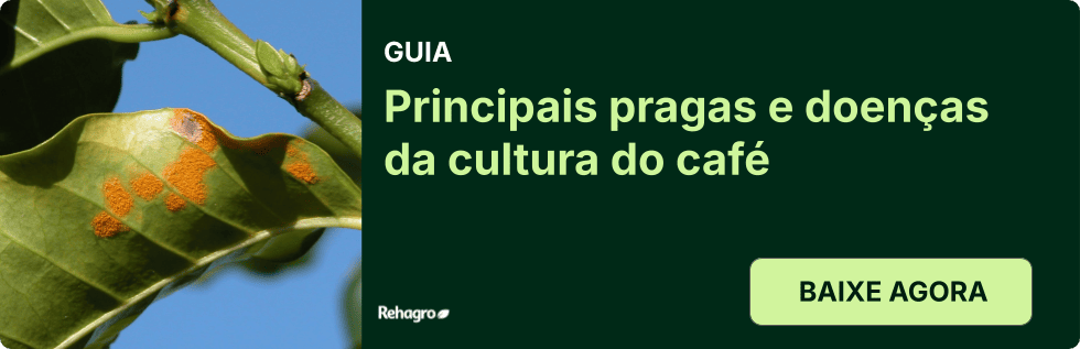 Clique e baixe o material gratuitamente! Guia Pragas e doenças do café