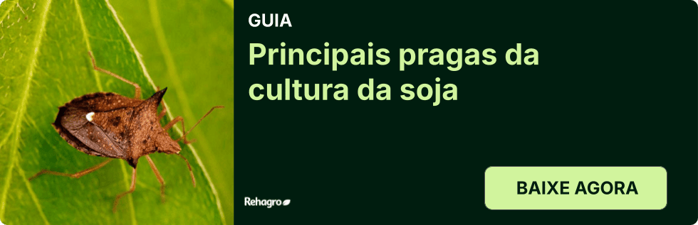 Guia Principais pragas da soja