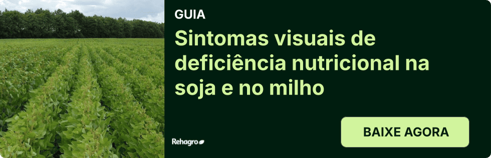Guia Sintomas de deficiência nutricional