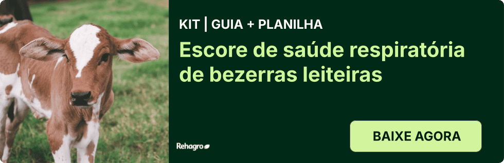 Kit guia e planilha escore de saúde respiratória de bezerras