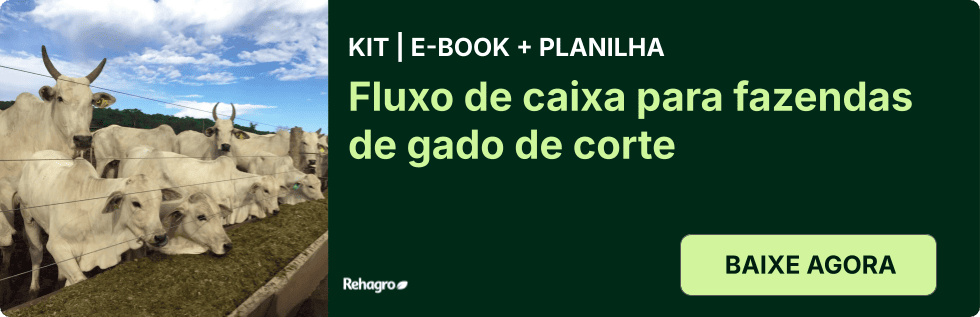 Clique e baixe o e-book grátis! Kit Fluxo de caixa em fazendas de gado de corte