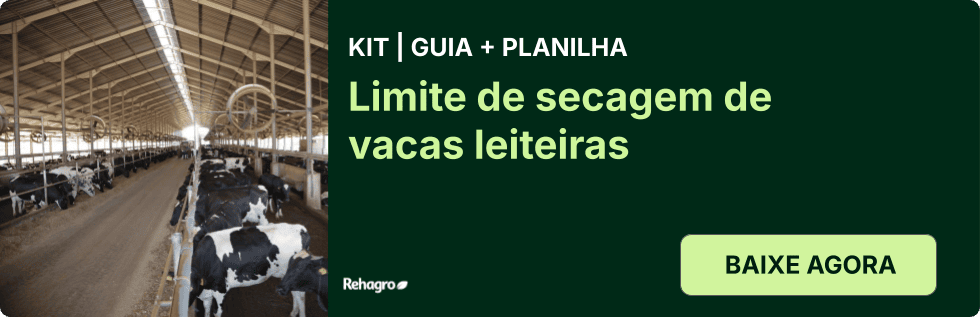 Clique e baixe grátis!