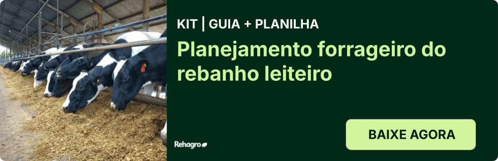 Kit guia e planilha planejamento forrageiro
