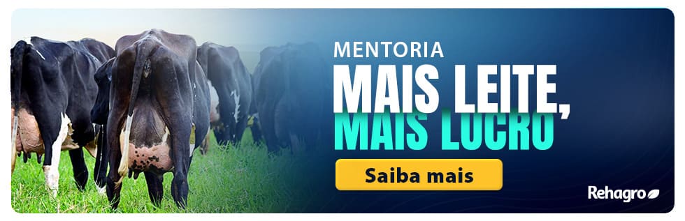 Banner Mentoria Mais Leite, Mais Lucro