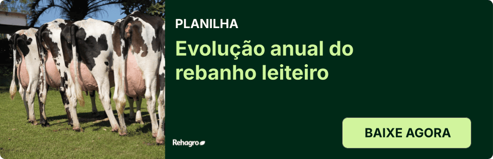 Planilha evolução anual do rebanho leiteiro