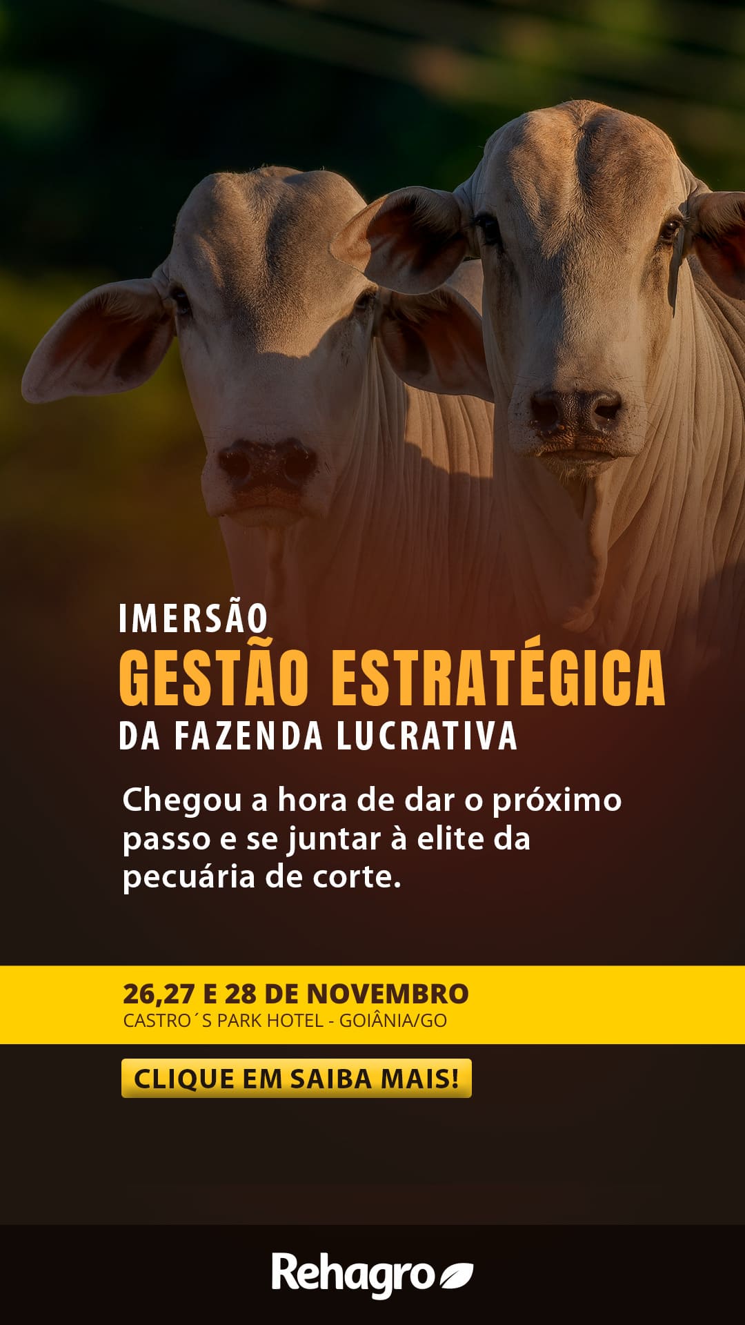 Imersão Gestão Estratégica da Fazenda Lucrativa