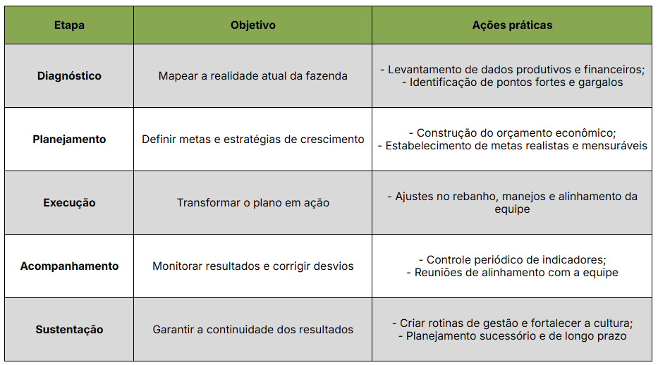 Processo para transformar sua gestão na pecuária de corte