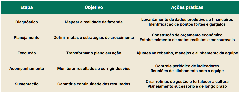 Processo para transformar sua gestão na pecuária de corte