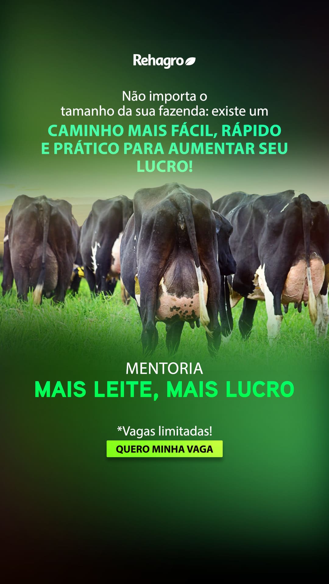 Banner Mentoria Mais Leite