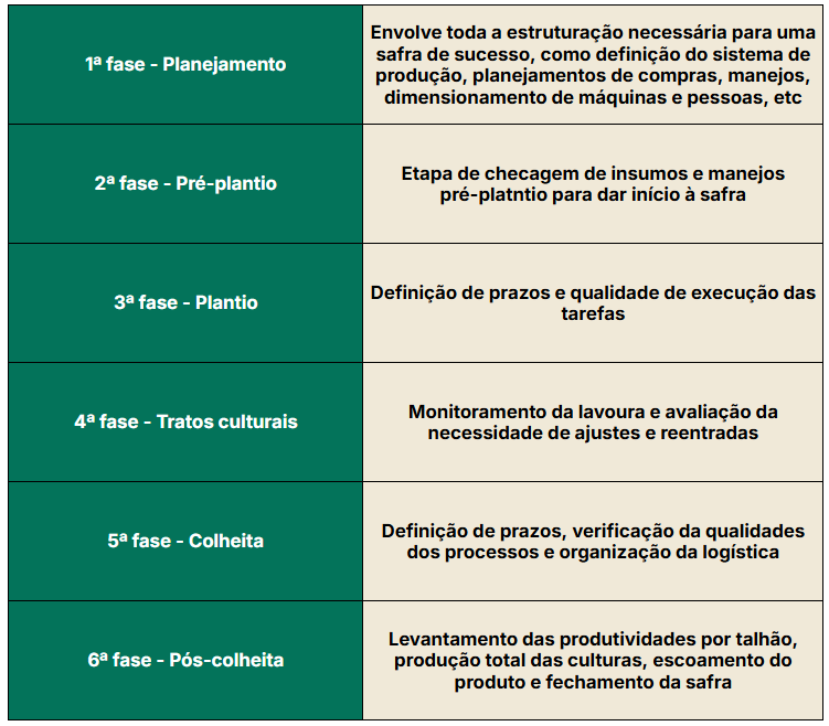 Organização da cadeia produtiva de grãos