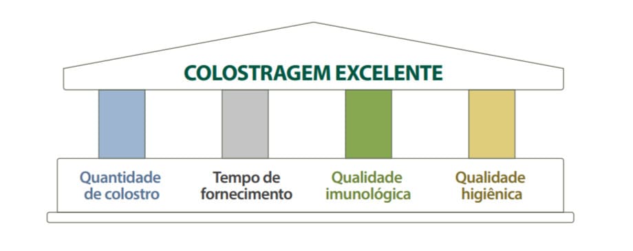 Pilares da boa colostragem