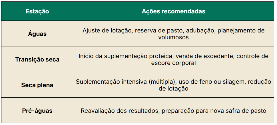Checklist de ações do ano