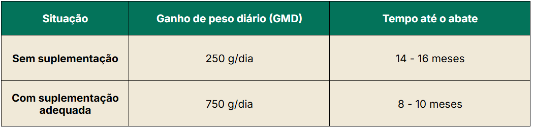 Comparativo de desempenho com e sem suplementação na seca