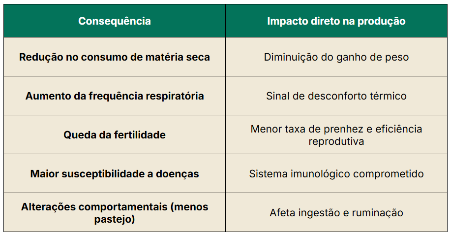Consequências e impactos diretos na produção causados pelo estresse térmico