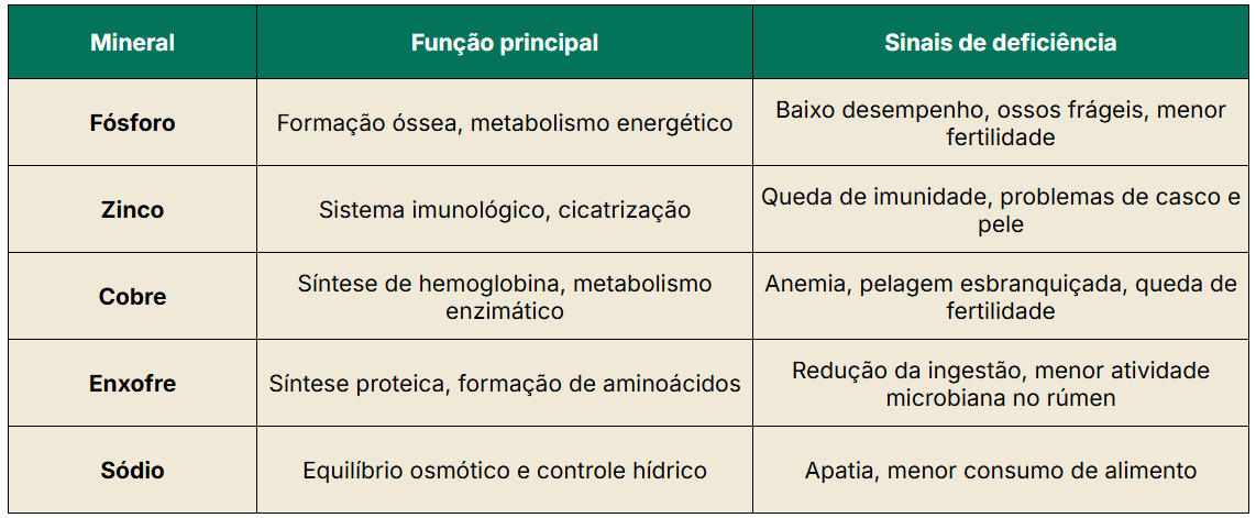Tabela com minerais essenciais para suplementação de bovinos