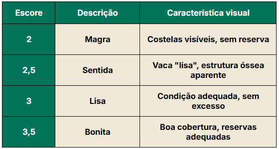 Tabela de classificação ecc