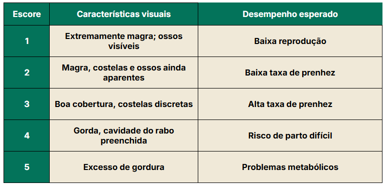 Tabela escore de condição corporal