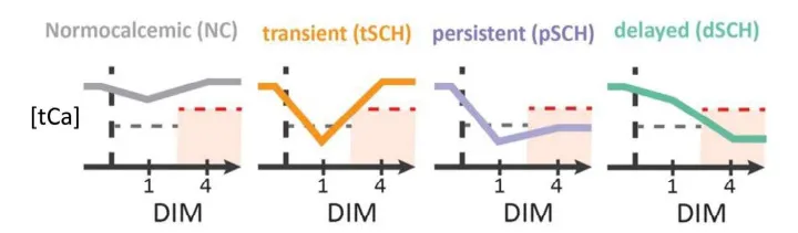 Esquema com diferentes concentrações de cálcio