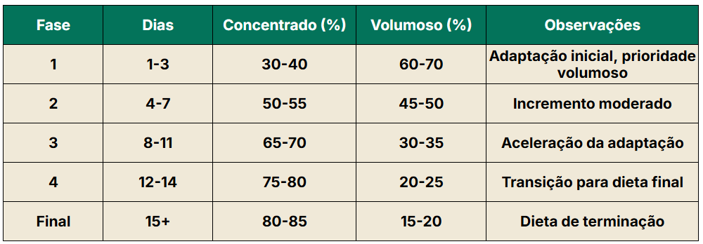 Protocolo prático para 14 dias de confinamento