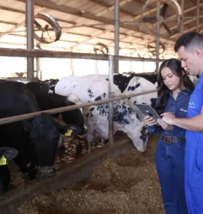Pessoas em uma fazenda leiteira analisando dados