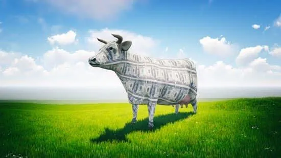 Imagem de uma vaca de leite representada com notas de dólar