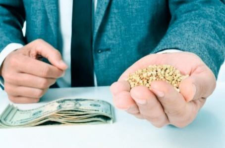 Homem segurando grãos de milho em uma mão