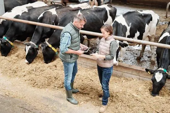 Duas pessoas conversando em uma fazenda leiteira