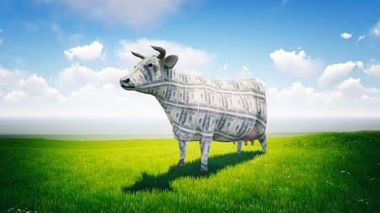 Imagem de uma vaca de leite representada com notas de dólar