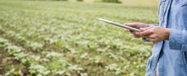 Pessoa segurando um tablet analisando algo e ao fundo uma lavoura de grãos