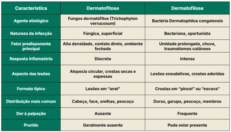 Comparação clínica entre dermatofitose e dermatofilose