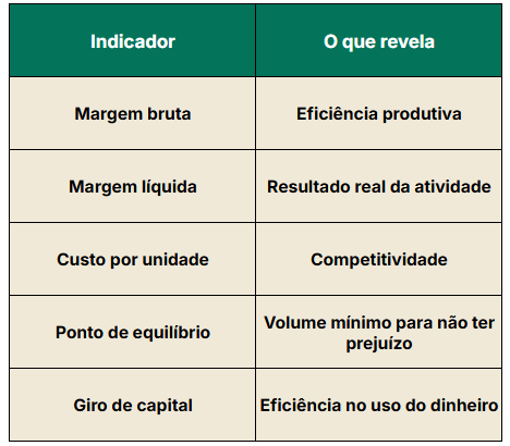 Tabela com indicadores financeiros de uma fazenda