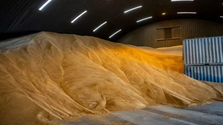 DDG utilizado na alimentação de vacas leiteiras