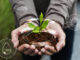 Agricultura circular e sustentabilidade
