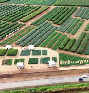 Fazenda experimental Rehagro