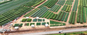 Fazenda experimental Rehagro