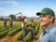 Líder no agro com inteligência emocional