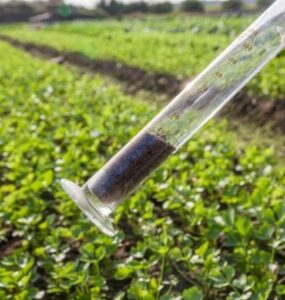 Diagnóstico do solo para um bom planejamento de safra