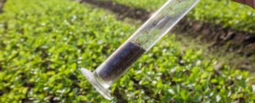 Diagnóstico do solo para um bom planejamento de safra