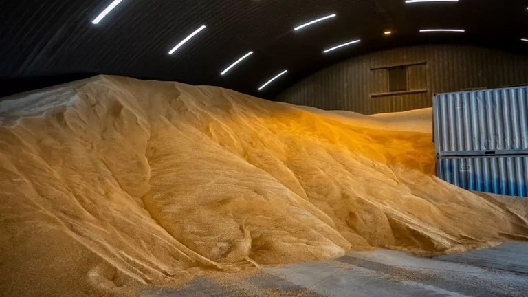 DDG utilizado na alimentação de vacas leiteiras