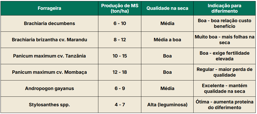Tabela com as principais forrageiras para diferimento de pastagem