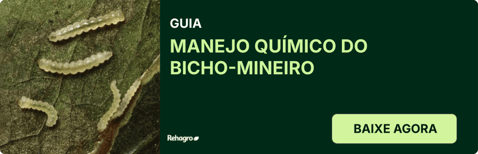 Clique e baixe o material gratuitamente! Guia Manejo químico do bicho-mineiro