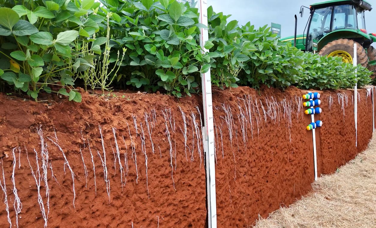 Compactação do solo: como diagnosticar corretamente