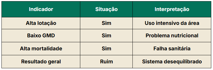 Análise integrada de indicadores zootécnicos na pecuária de corte